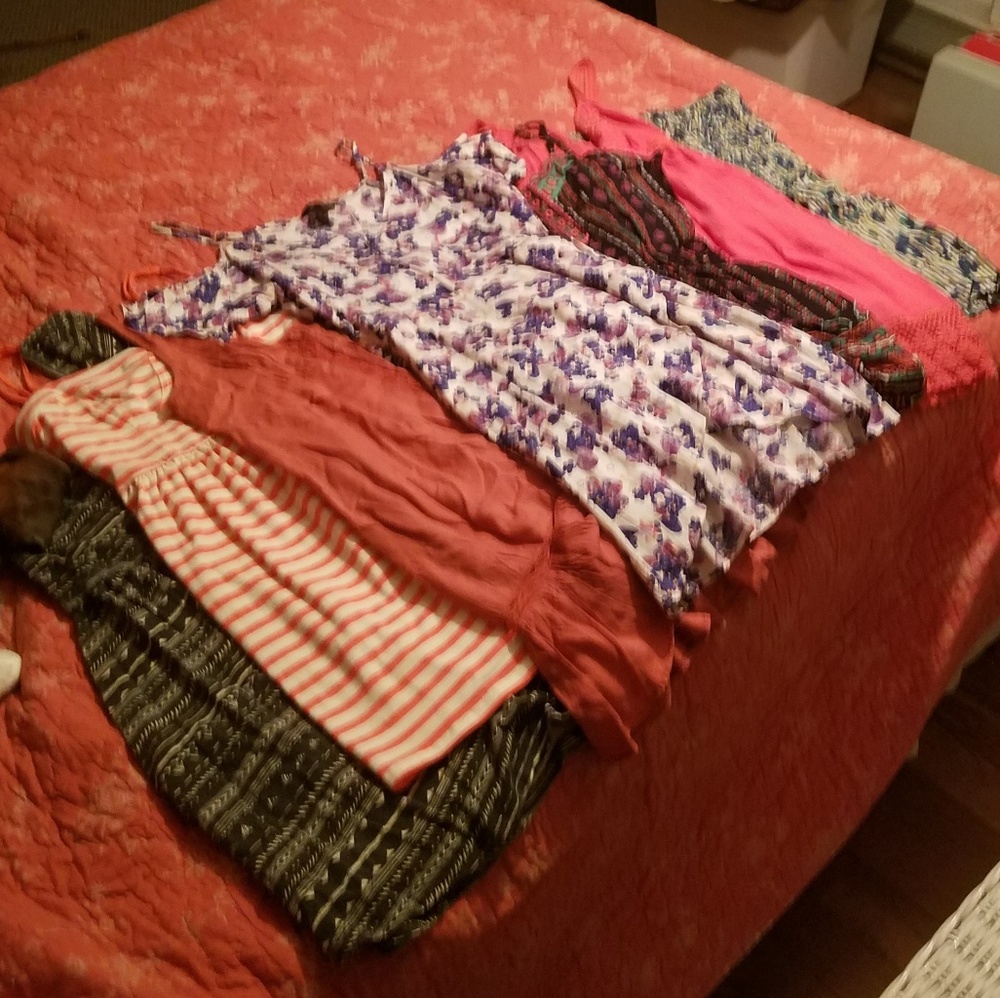 Huge Dress Bundle!